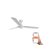 Punt 130cm Ceiling Fan / White / ABS Blades