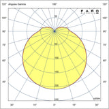LED Light Kit for Punt / Black