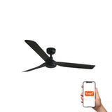 Punt 130cm Ceiling Fan / Black / ABS Blades
