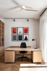 Punt Tub 130cm Ceiling Fan / White with Maple / ABS Blades