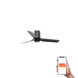 Mini Punt Tub 90cm Ceiling Fan / Black / ABS Blades