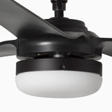 Ceiling fan with black blades and light fixture on a white background
