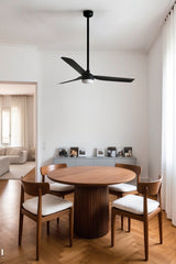 Punt 130cm Ceiling Fan with LED Light / Black / ABS Blades
