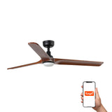 Heywood 132cm Ceiling Fan with LED Light / Black with Walnut / Timber Blades