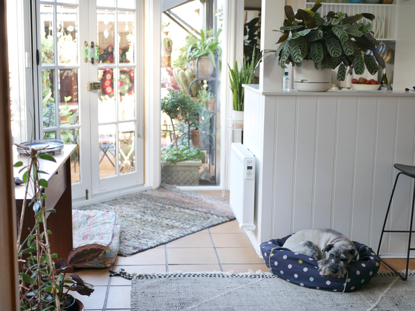 Radiant Heating: A Purr-fectly Tail-Wagging Solution for Pet Comfort