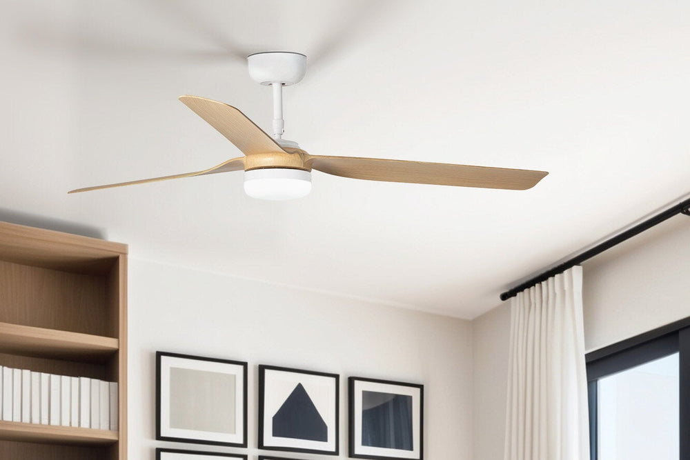 Ceiling Fan Accessories