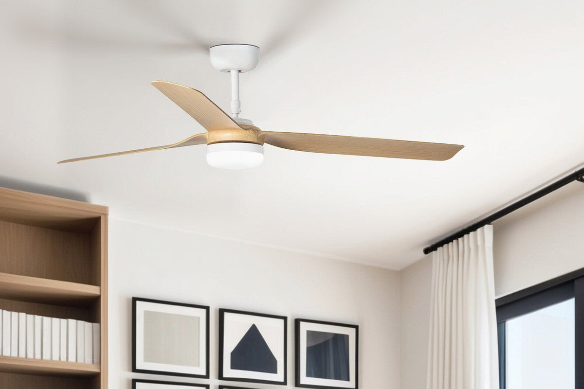 Ceiling Fan Accessories