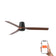 Punt Tub 130cm Ceiling Fan / Black with Walnut / ABS Blades