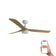 Punt 130cm Ceiling Fan with LED Light / White with Maple / ABS Blades