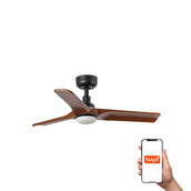 Heywood 90cm Ceiling Fan with LED Light / Black with Walnut / Timber Blades