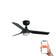Mini Punt 90cm Ceiling Fan with LED Light / Black / ABS Blades